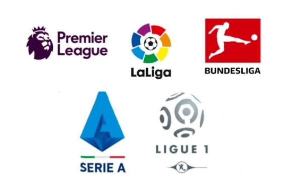 球迷中掀起 球迷中掀起